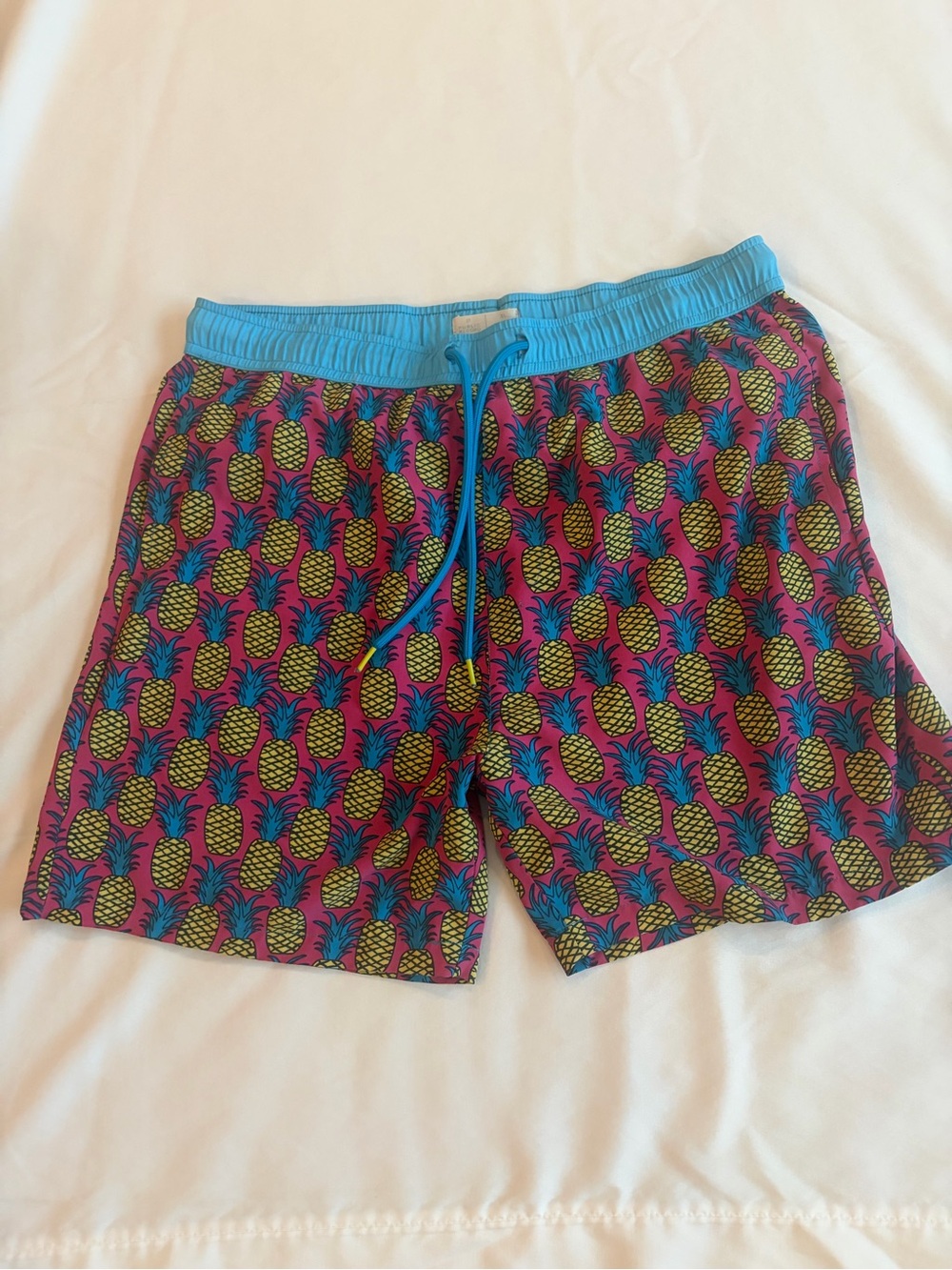 Public Record Men's Pineapple Print Swim Trunks w/ Drawstring Size XL